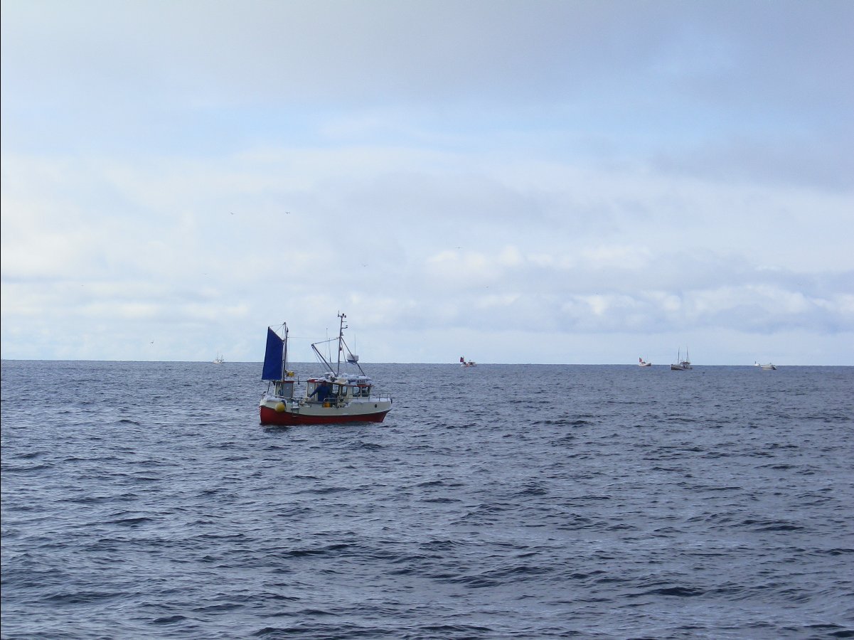 Cod Fishing10